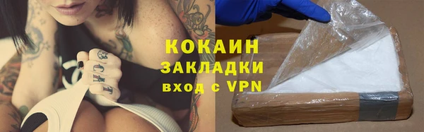 винт Арсеньев
